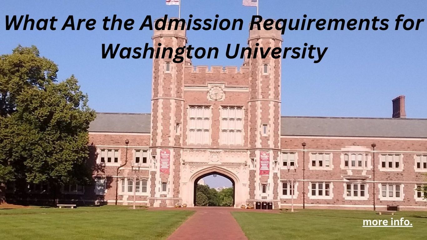 What Are the Admission Requirements for Washington University